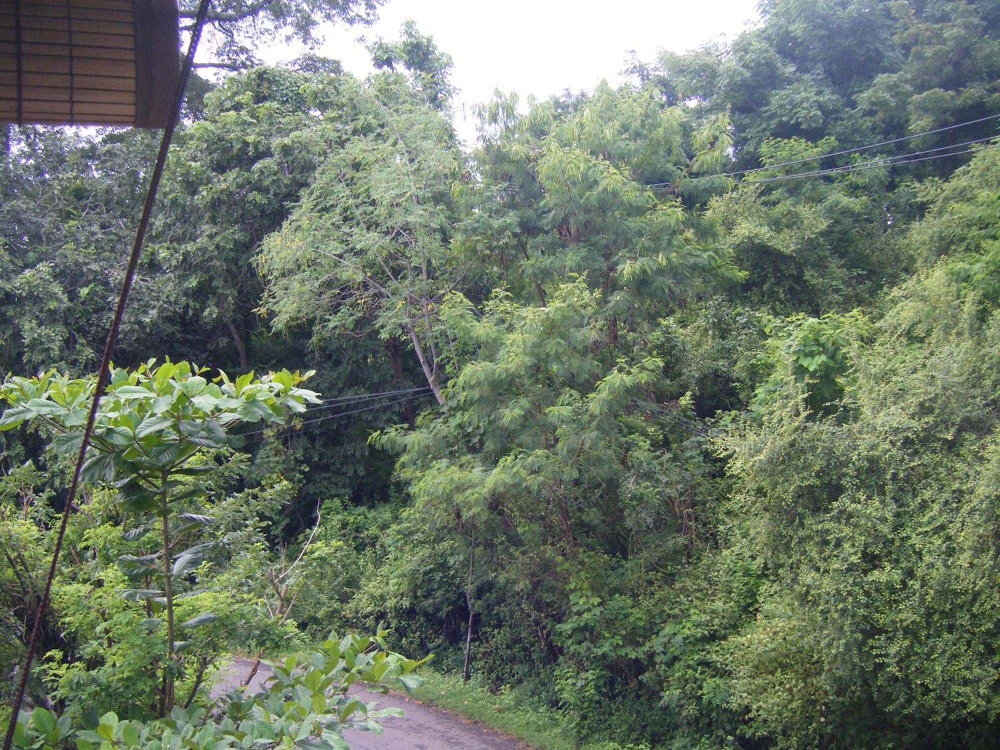 Bubu Racok Homestay Amed  Phòng bức ảnh